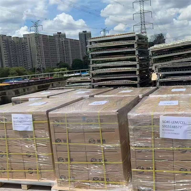利辛县西山区物流专线的多元运输世界