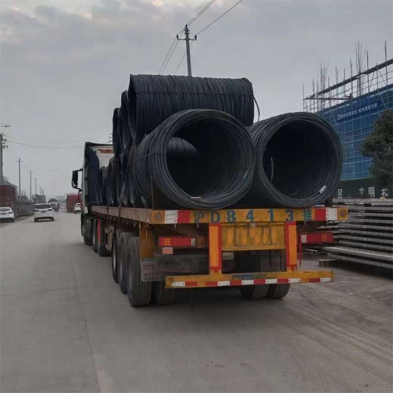 利辛县丽江市物流运输：多元服务与高效线路探秘